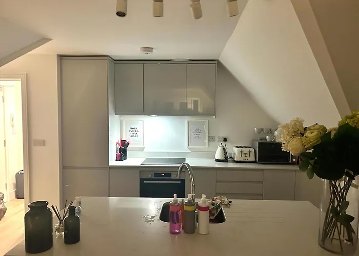 The Penthouse Double Bedroom For Rent Use Of Kitchen Parking On Request